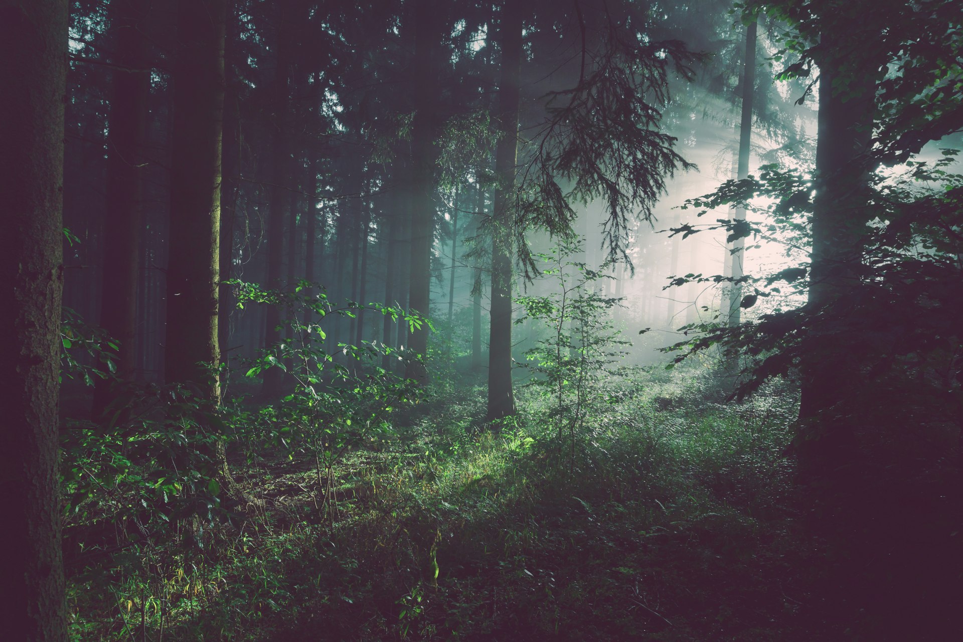 Formation post-graduée dans un cadre naturel serein